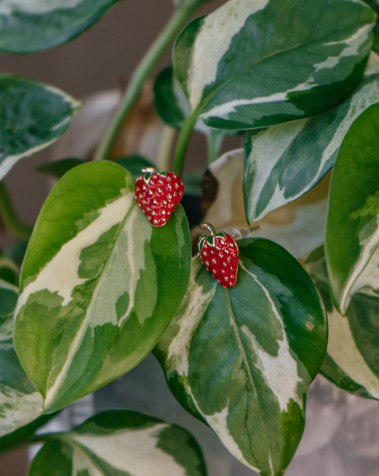 Strawberry Dream Earring